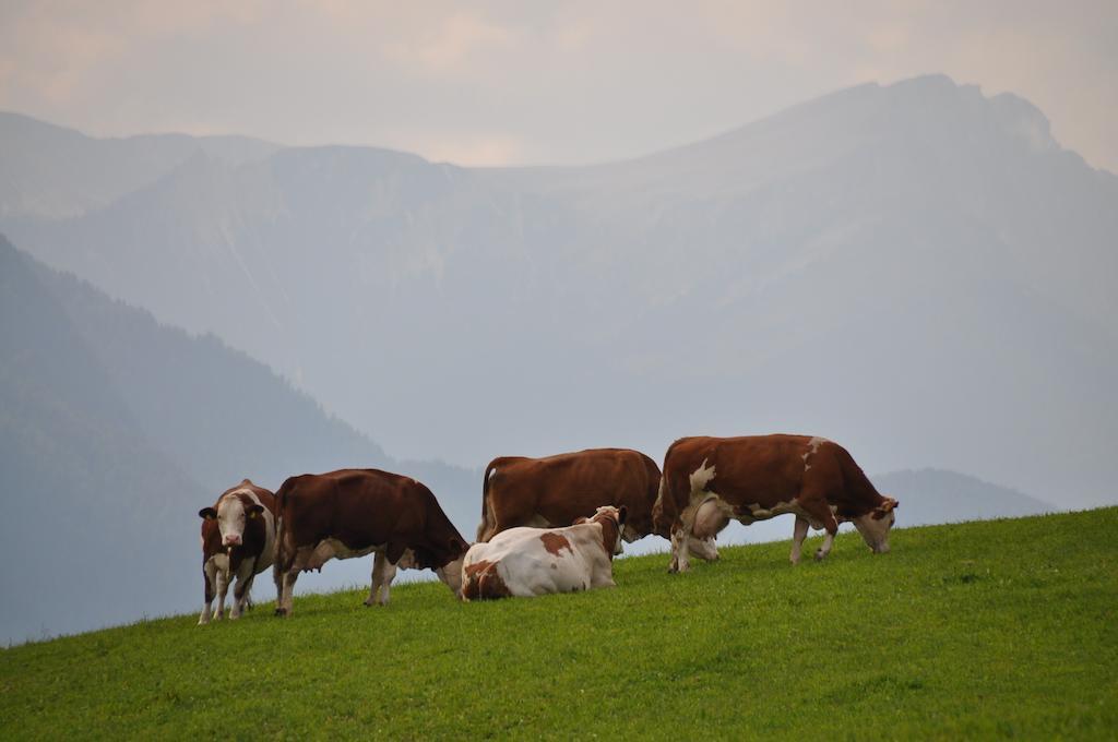 Galler Am Berg San Candido Dış mekan fotoğraf