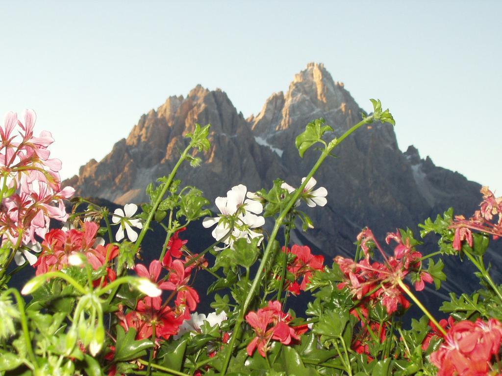 Galler Am Berg San Candido Oda fotoğraf
